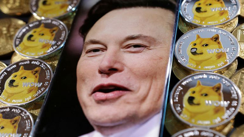 Elon Musk, Spacex, Tesla Dogecoin bị đệ đơn kiện vì quảng bá Dogecoin