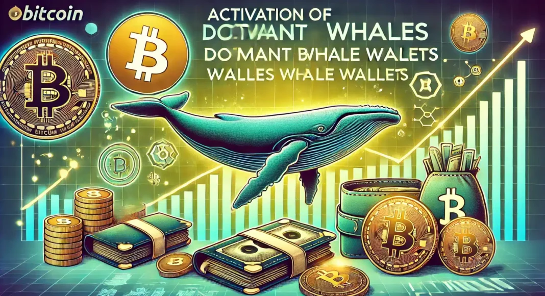 7 Dormant Bitcoin Whale Wallets Activated: What’s Next? – The Bit Journal