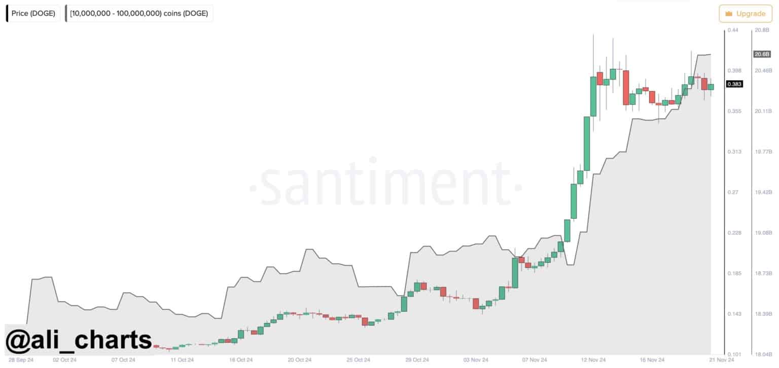 DOGE⁤ Coin’s Explosive Potential:⁣ Analyst Predicts a⁢ Major Breakout