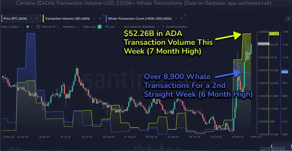 Liệu đà tăng của Cardano có tiếp tục?