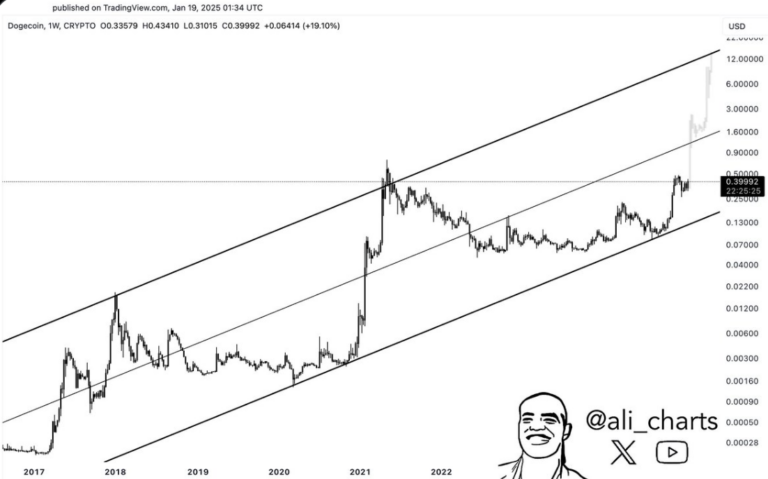 Dogecoin Whale Accumulation Fuels Optimism: Is 40X Possible? = Cafe Coin