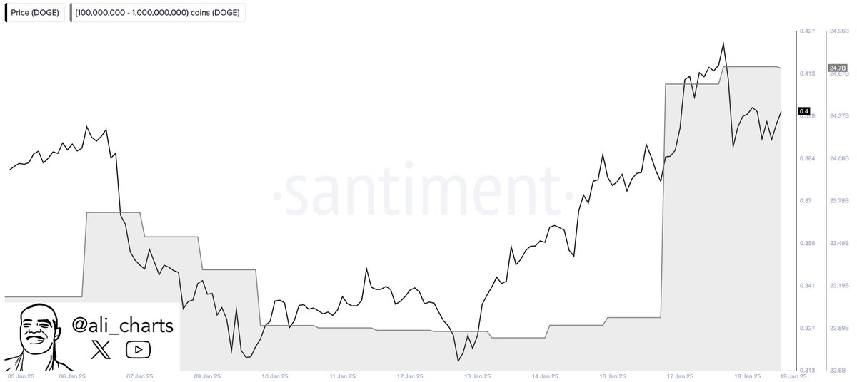 Dogecoin Whale Accumulation Fuels Optimism: Is 40X Possible? =‍ Cafe Coin