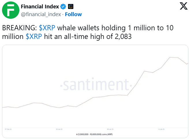 Whales Are Accumulating Cardano and XRP: What’s Next? = ⁢Cafe Coin