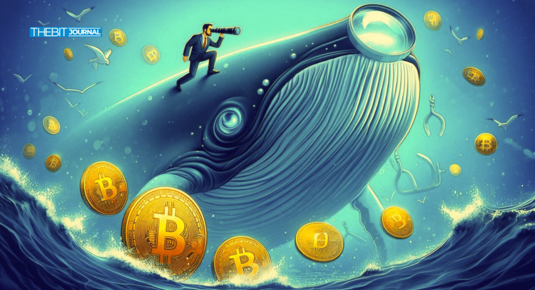 Whale Watch: Top Crypto Whale Moves This Week
