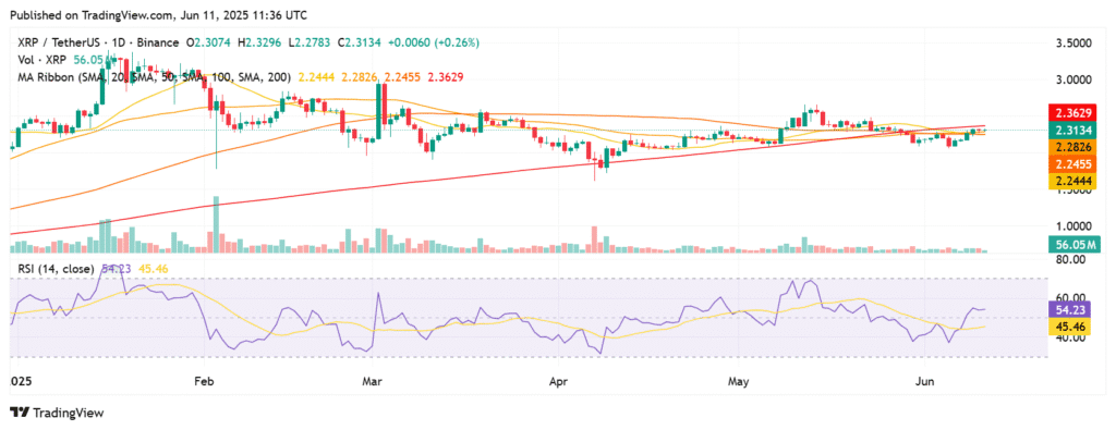 XRP Analysis