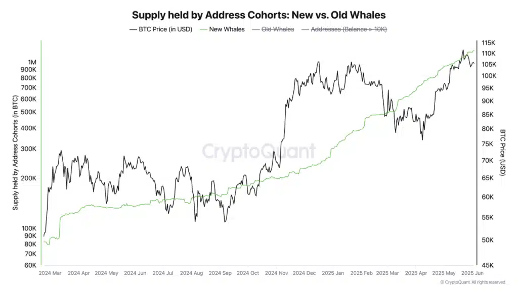 New Bitcoin Whales Accumulate $63B in BTC, Fueling Supply Squeeze