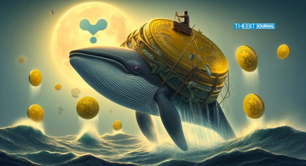 XRP Whales Fuel the Rally But Are Sell-Offs Looming?