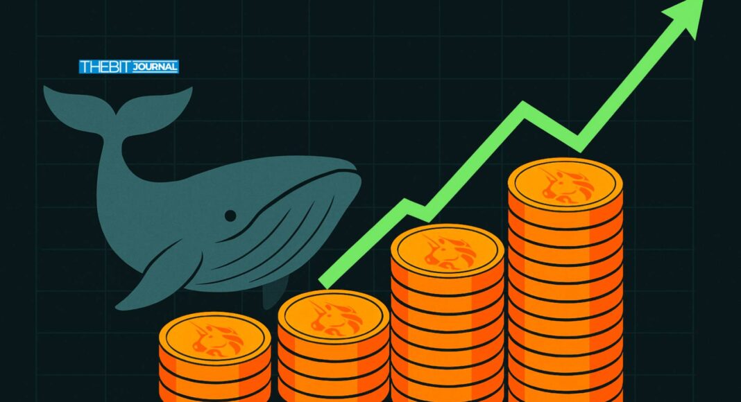 Uniswap Price Prediction 2025, Whale Surge Power Bullish Target