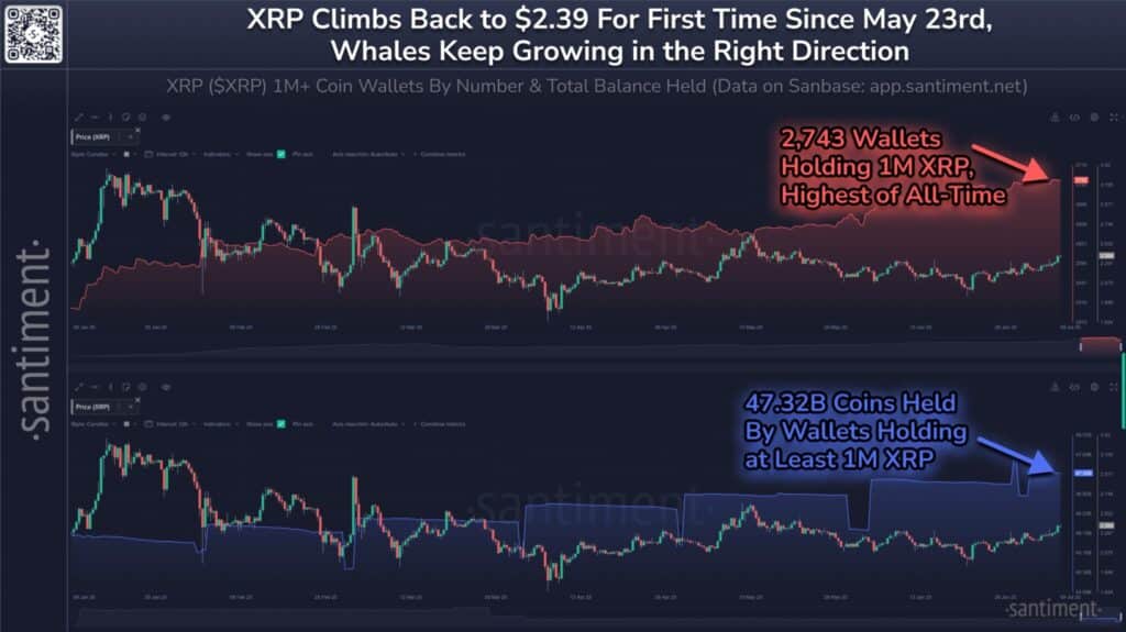 Whale Surge Pushes XRP to ‍7-Week High